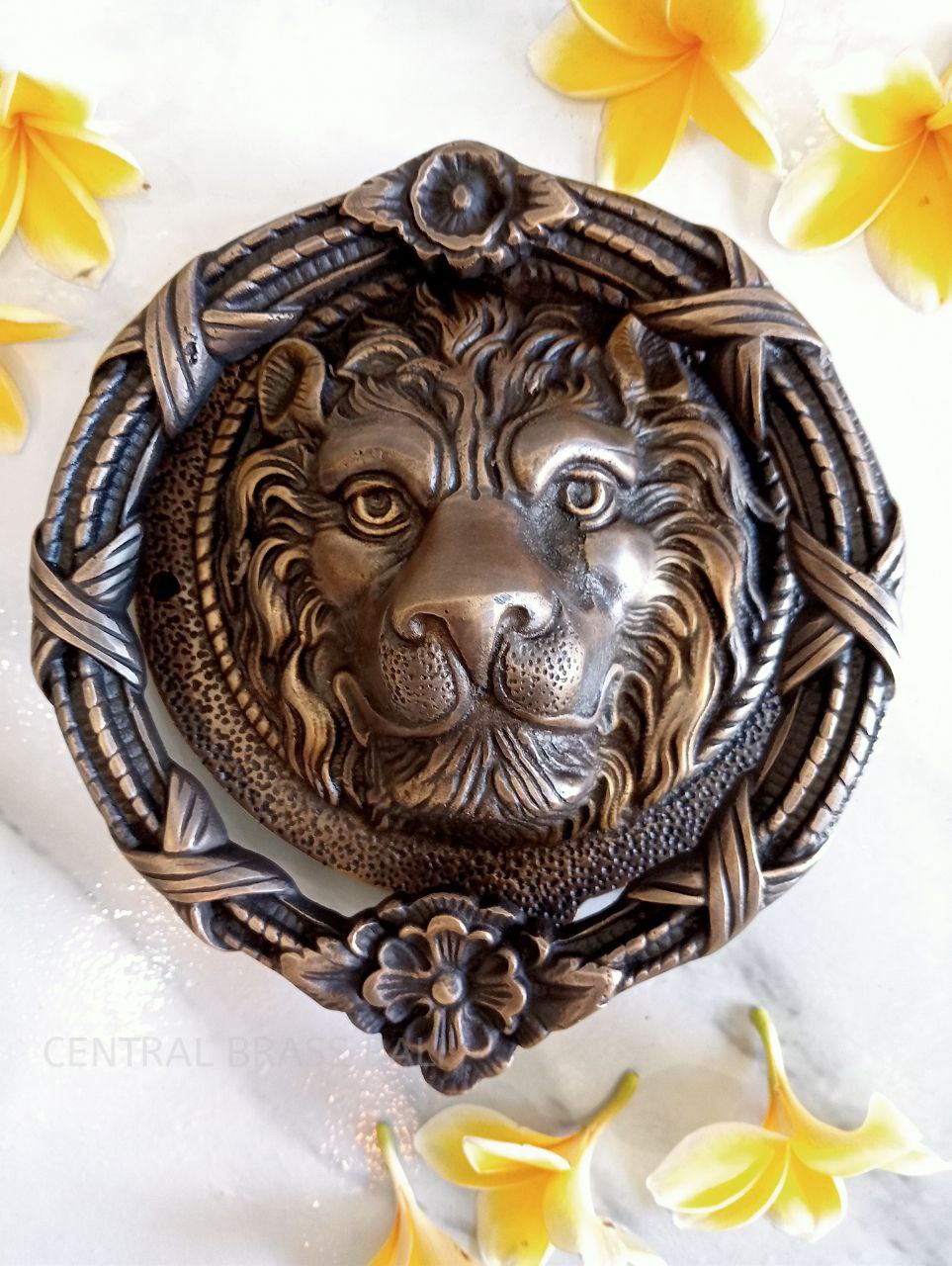 Big lion door knocker