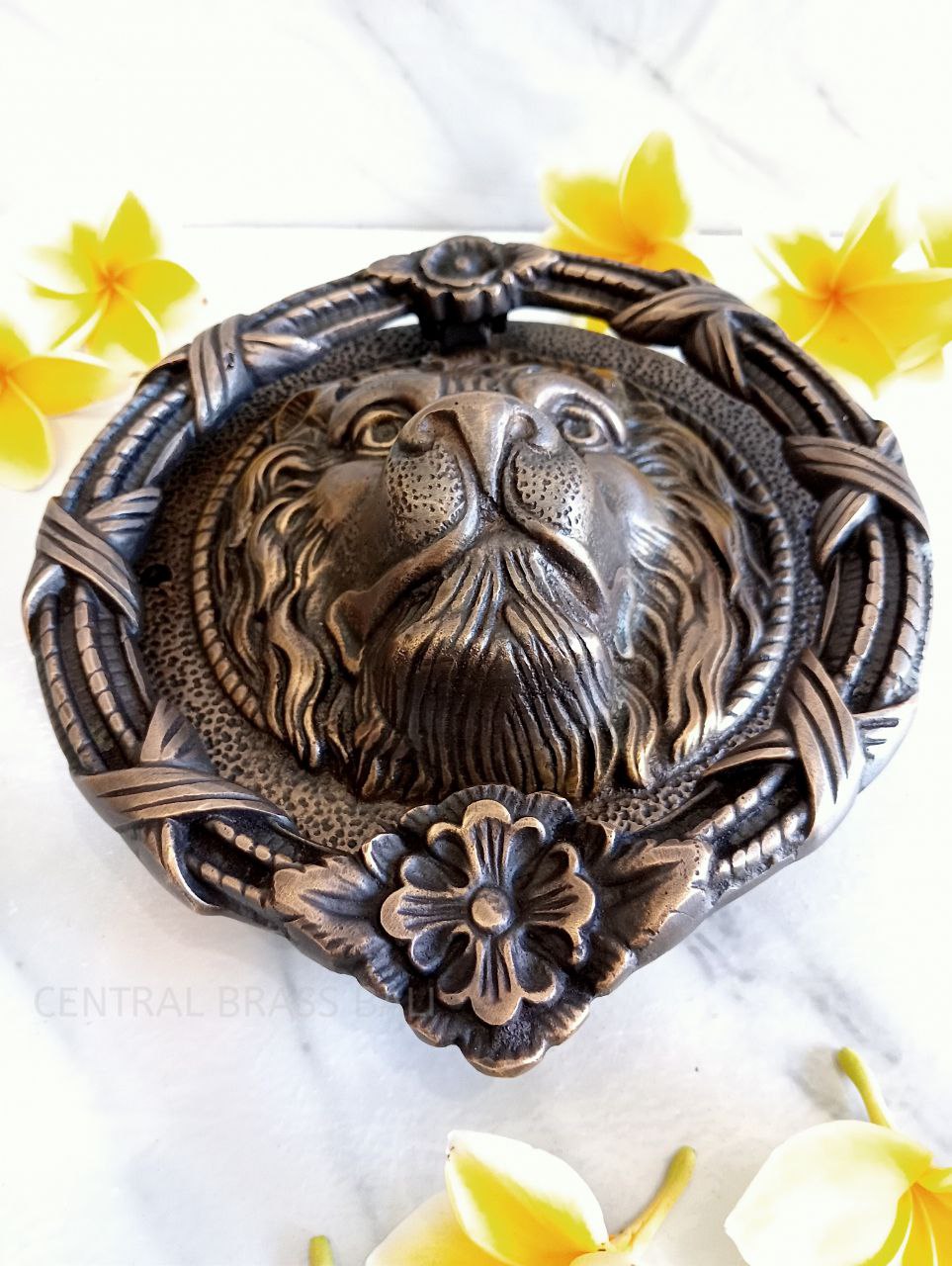 Big lion door knocker