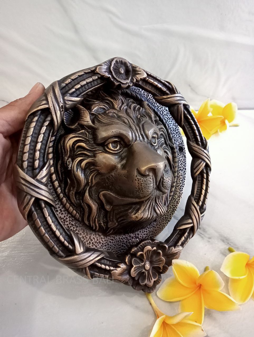 Big lion door knocker