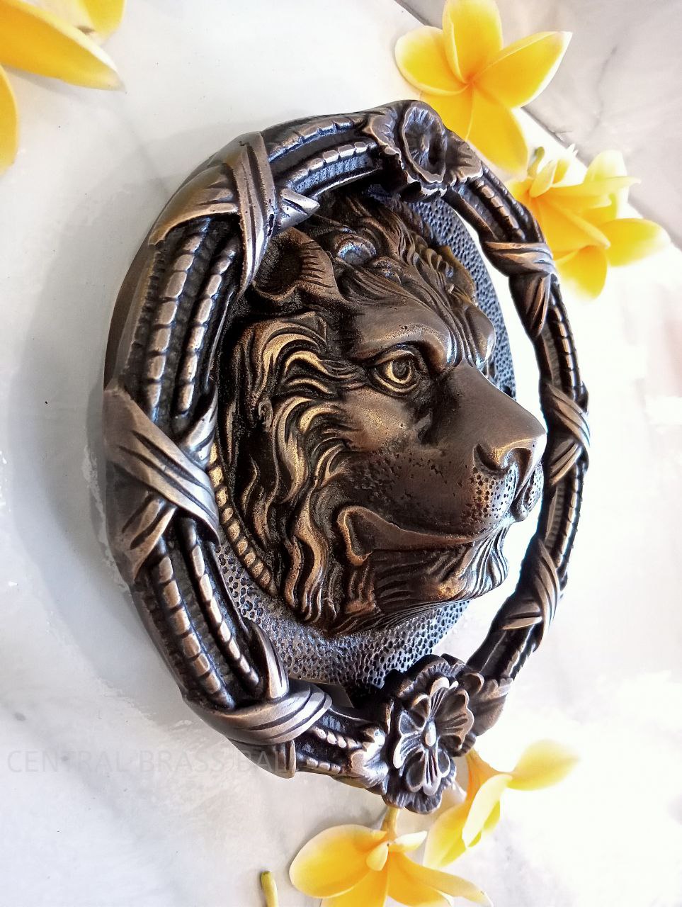 Big lion door knocker