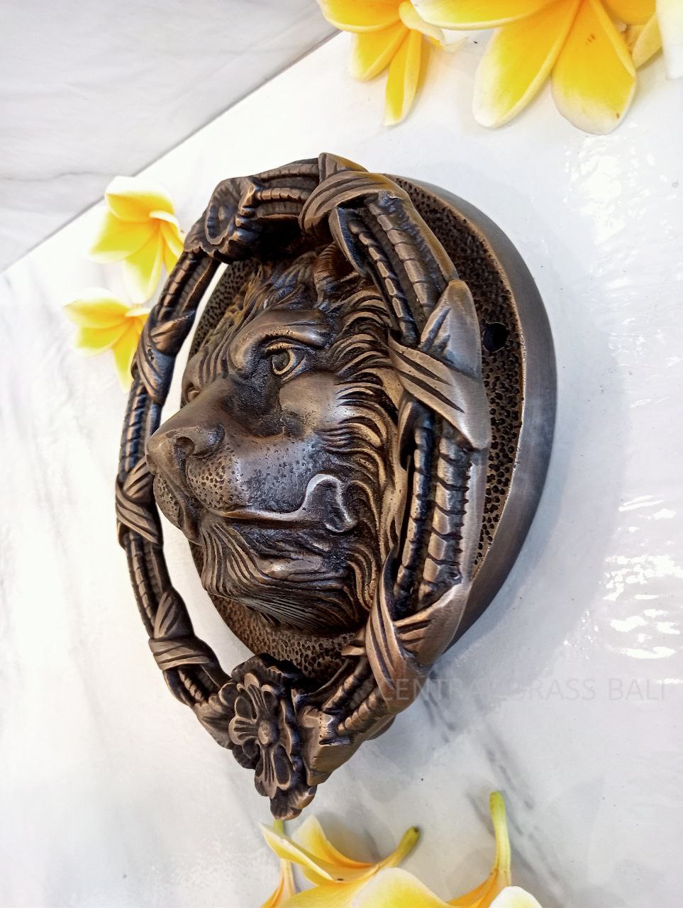 Big lion door knocker