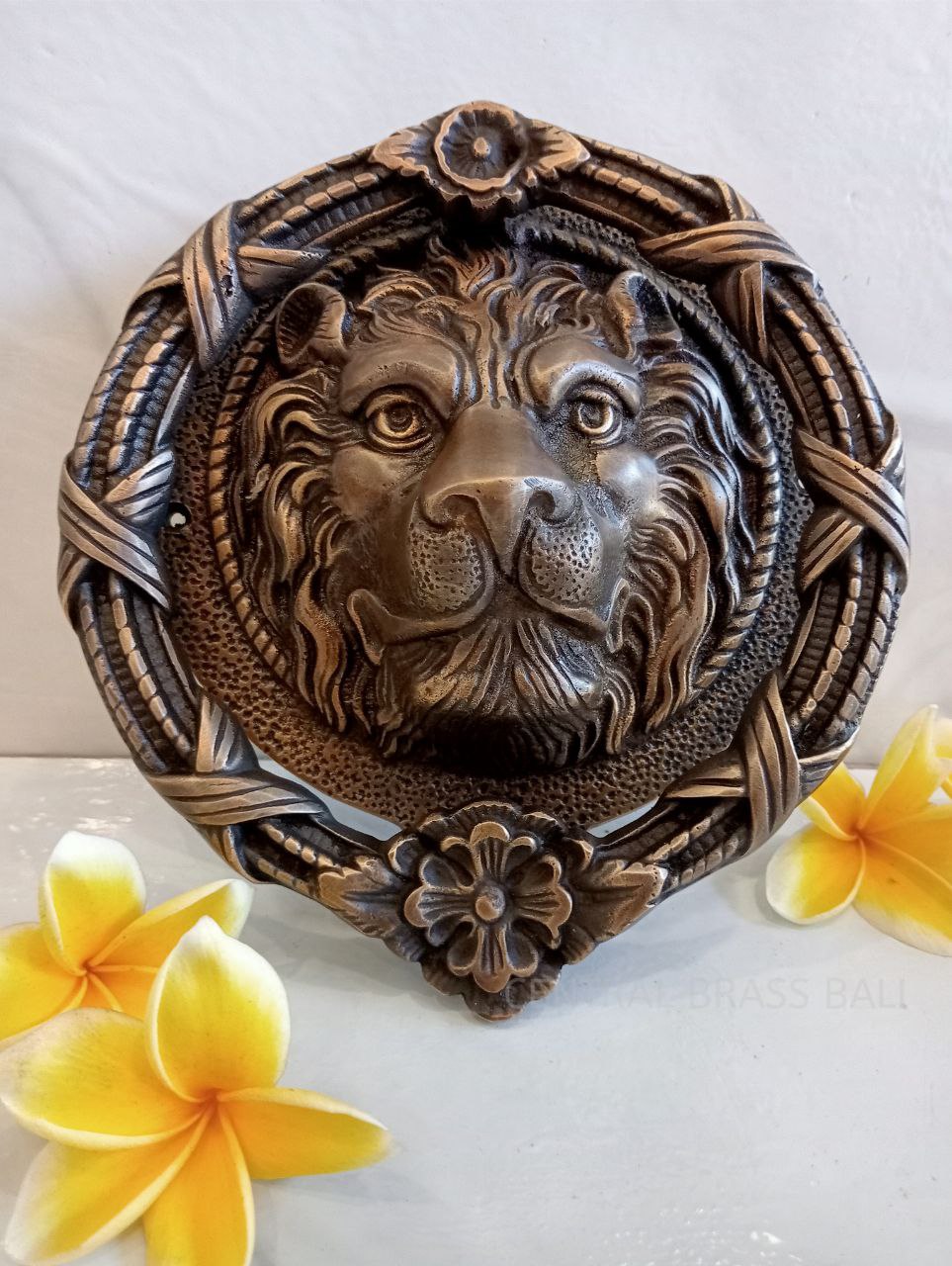 Big lion door knocker